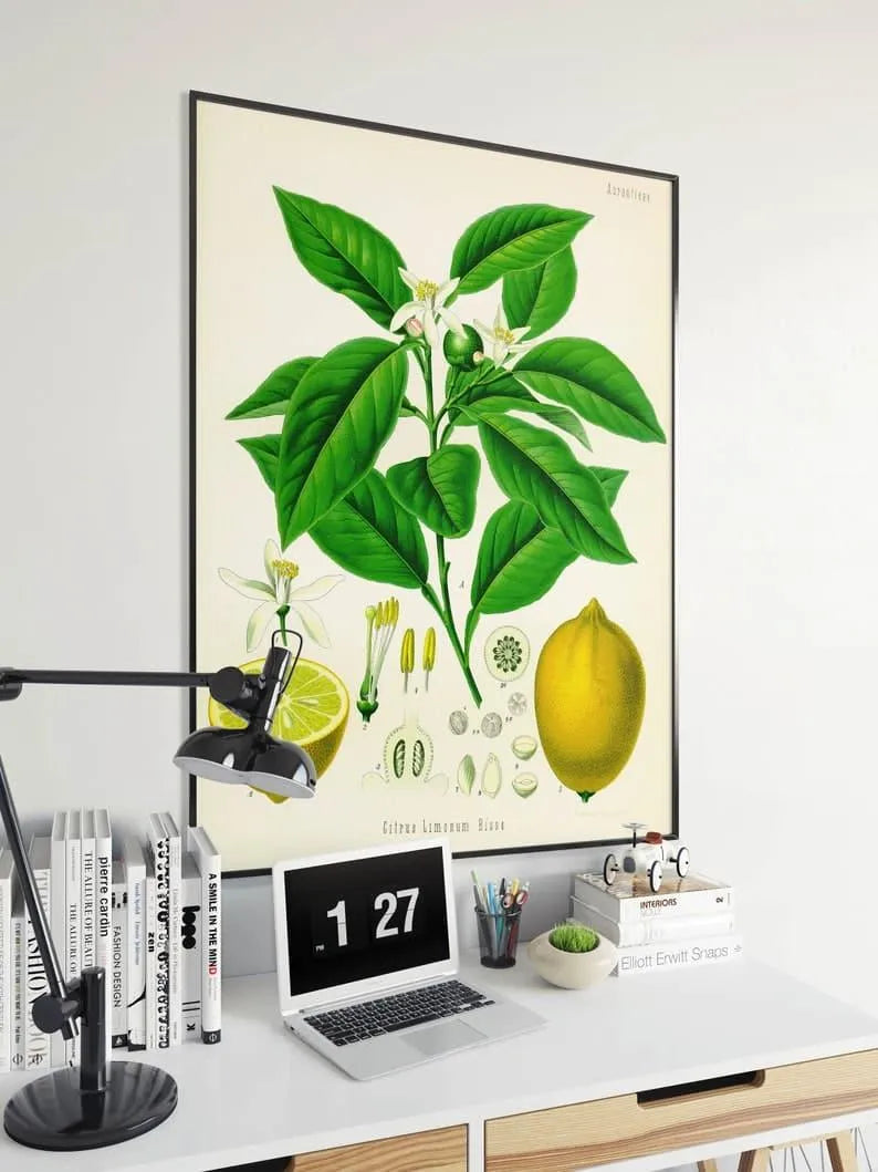 Lemon Wall Print| Botanical Wall Art