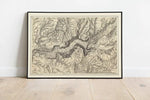 Topographical Map of the Yosemite Valley 1883| Old Map Wall Decor