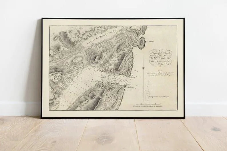 Nautical Chart of the Port of St John 1818| Old Map Wall Decor