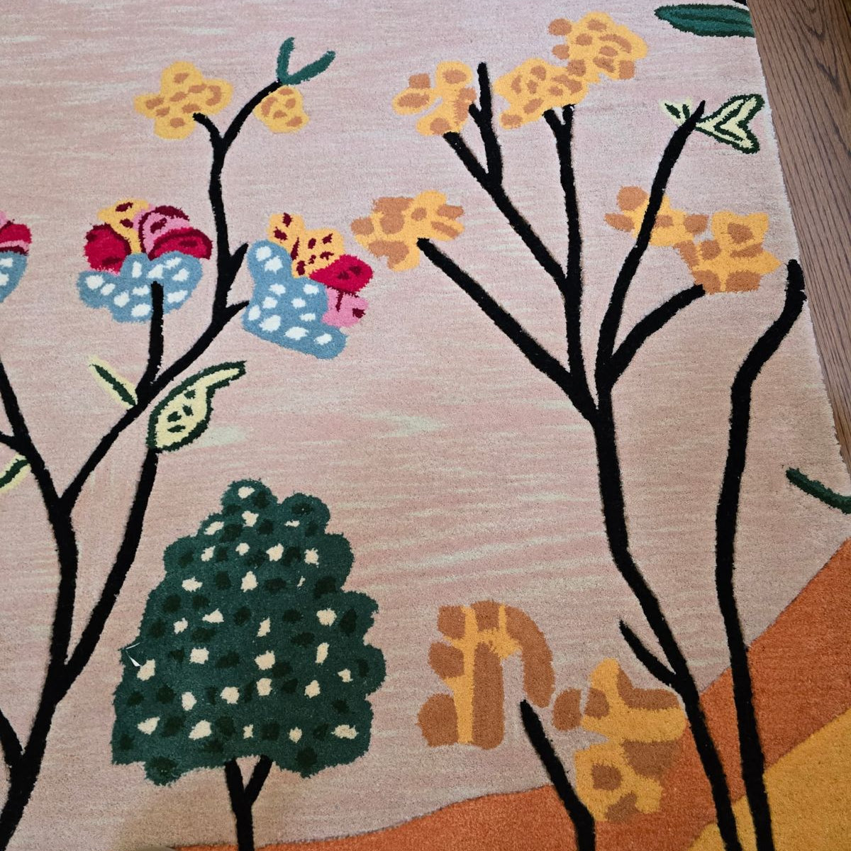 Meadow Vista Hand Tufted Rug 9 x 13.5 ft