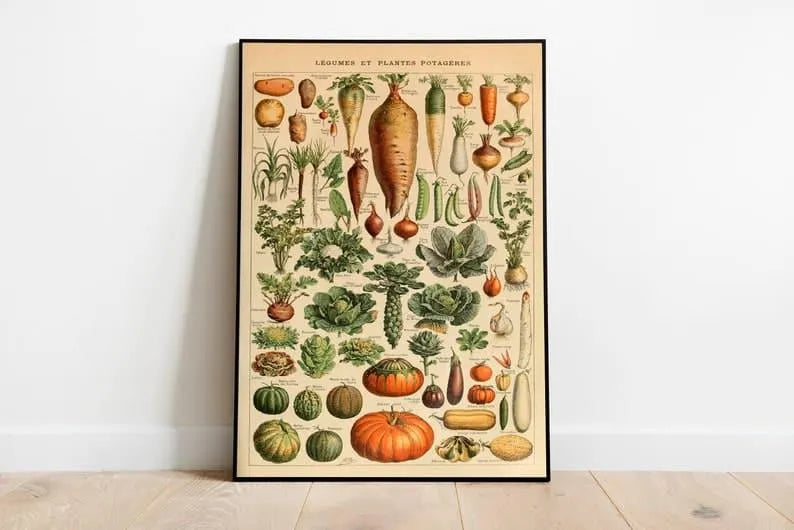 Vegetables Chart| Vegetables Diagram