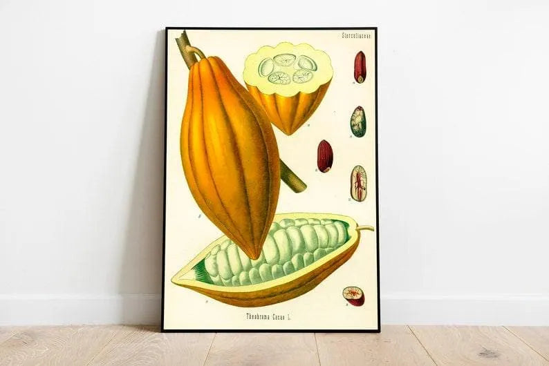 Cacao Wall Print| Botanical Wall Art