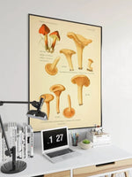 Mushroom Wall Print| Botanical Wall Art