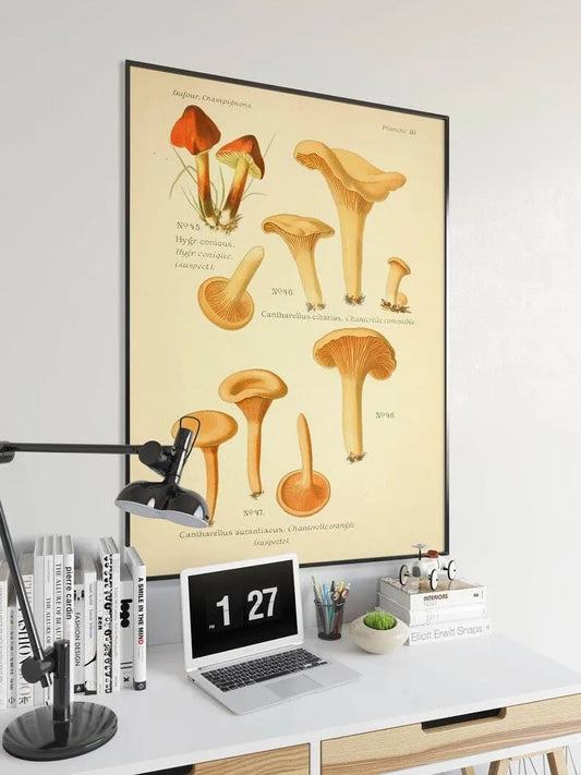 Mushroom Wall Print| Botanical Wall Art