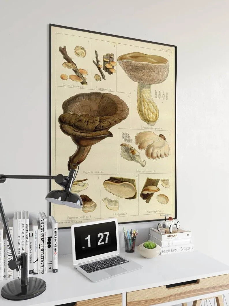 Mushroom Wall Print| Botanical Wall Art