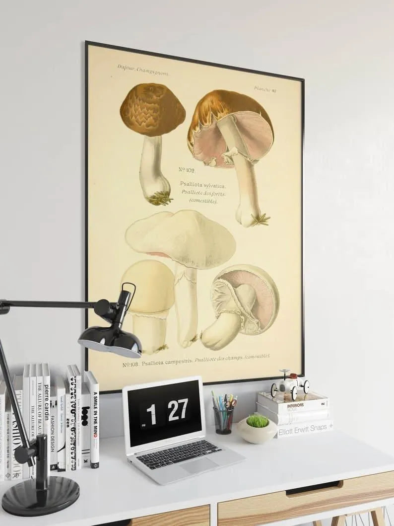 Mushroom Wall Print| Botanical Wall Art