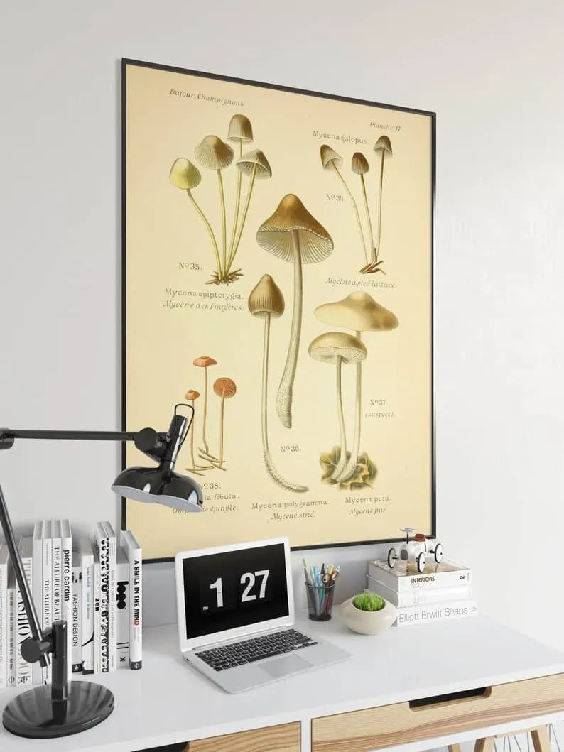 Mushroom Wall Print| Botanical Wall Art