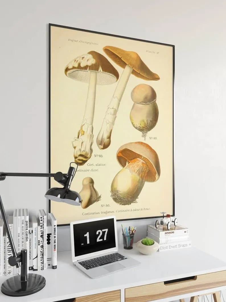 Mushroom Wall Print| Botanical Wall Art