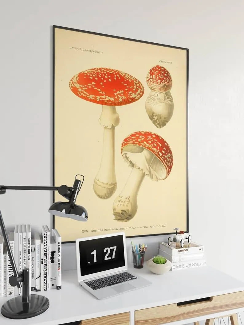 Mushroom Wall Print| Botanical Wall Art