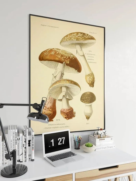 Mushroom Wall Print| Botanical Wall Art