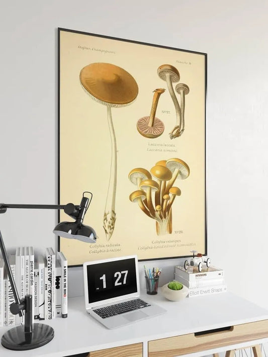 Mushroom Wall Print| Botanical Wall Art