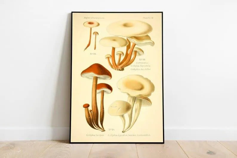 Mushroom Wall Print| Botanical Wall Art