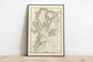 Nautical Chart of the Port of Royal Sound 1818| Old Map Wall Decor 