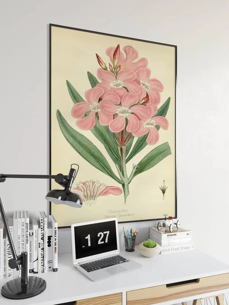 Oleander Flower Wall Print| Botanical Wall Art