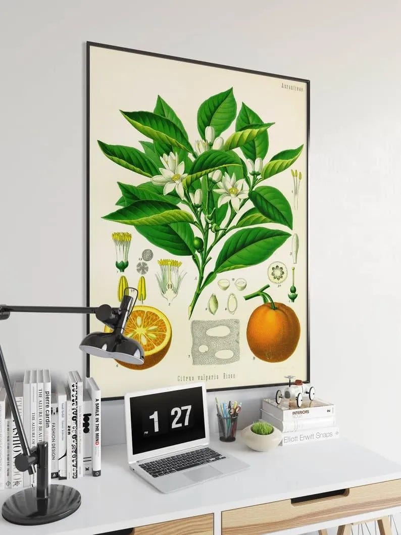 Orange Wall Print| Botanical Wall Art