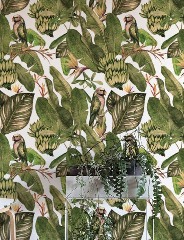 Parrots and Banana Tress Tropical Wallpaper 
