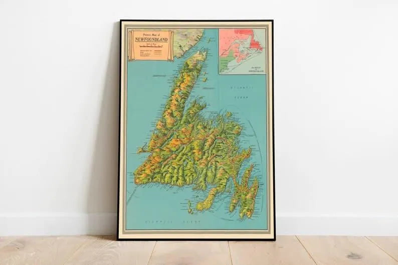 Picture Map of Newfoundland| Canvas Art Wall Decor