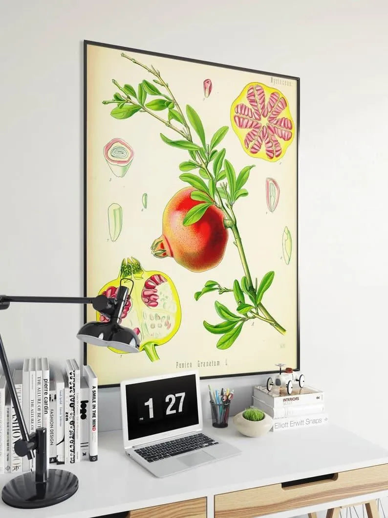 Pomegranate Wall Print| Botanical Wall Art