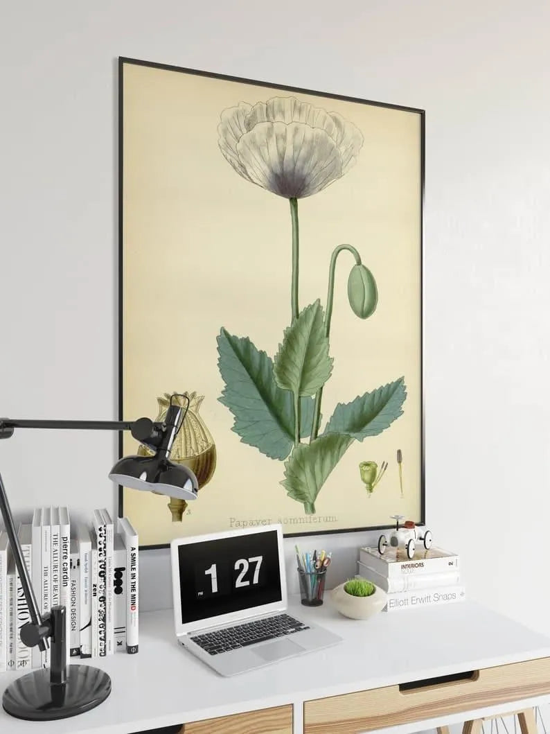 Poppy Flower Wall Print| Botanical Wall Art