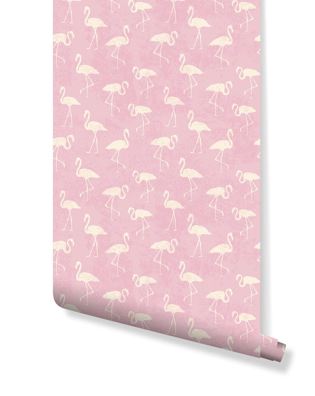 Retro Tropical Pink Flamingos Removable Wallpaper Retro Tropical Pink Flamingos Removable Wallpaper 