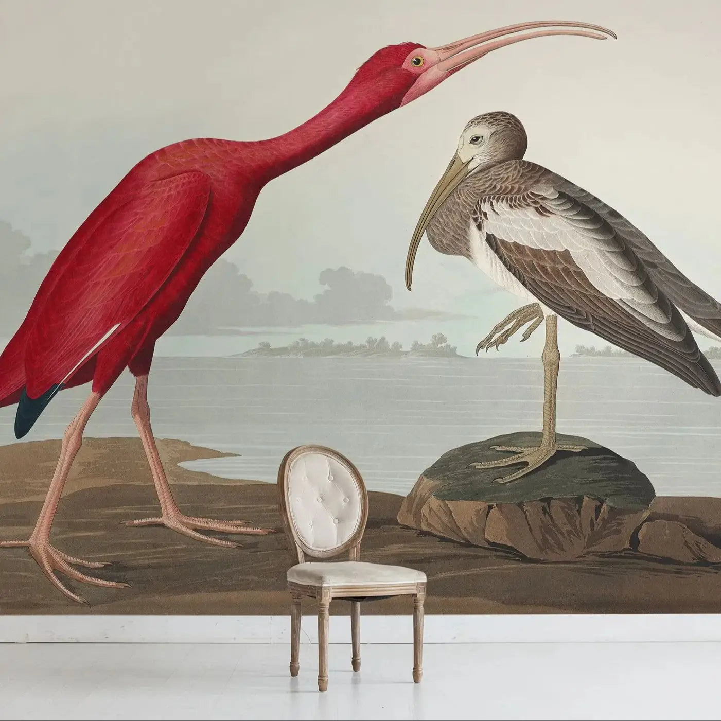 Vintage Scarlet Ibis Bird Mural