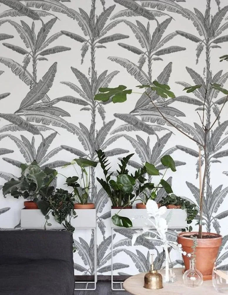 Gray Palm Leaf on White Wallpaper