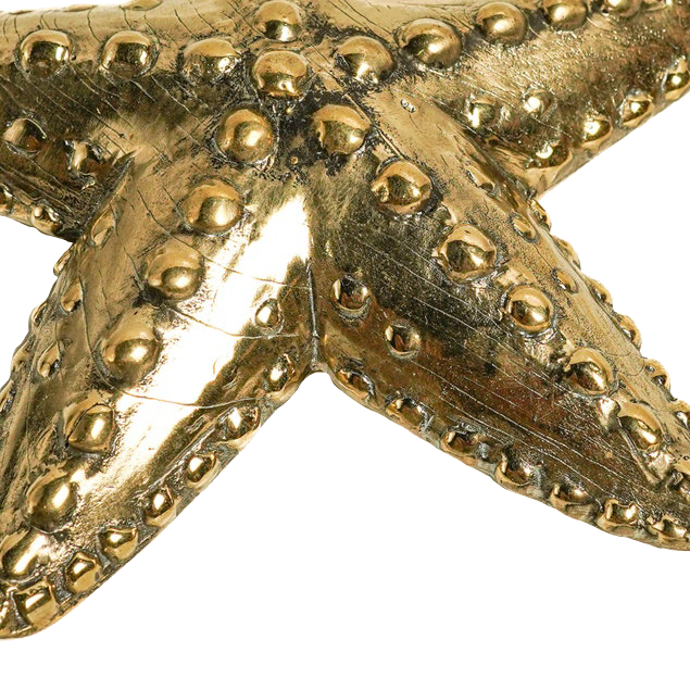 Solid Brass Starfish Candle Holder
