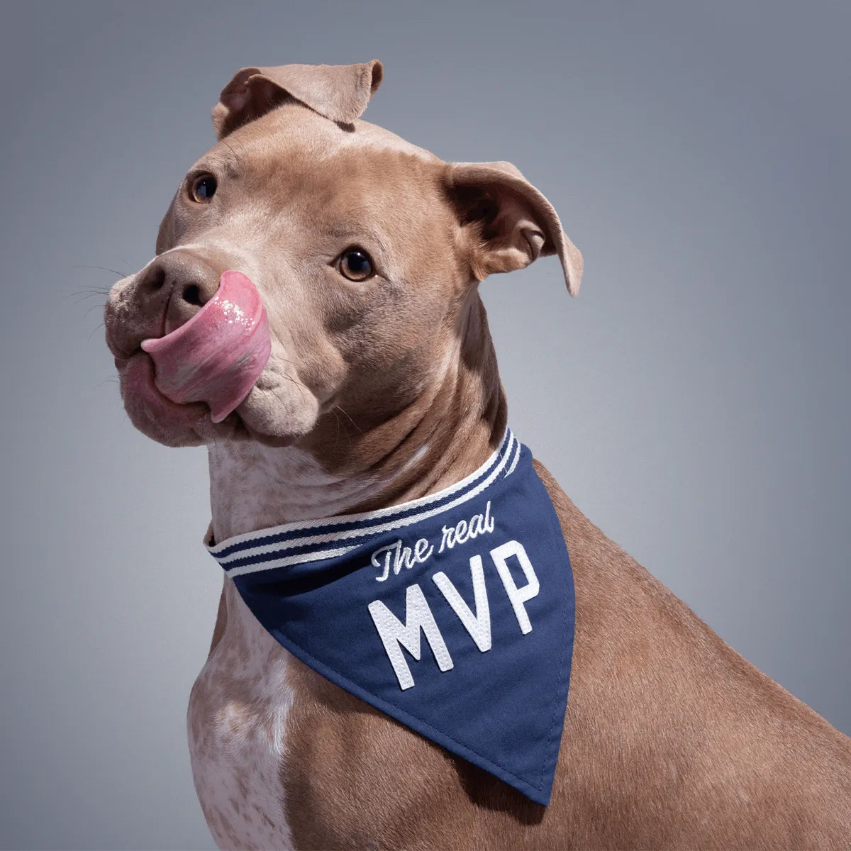 The Real MVP Dog Bandana