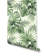 Tropical Exotic Palm Leaves Removable Wallpaper