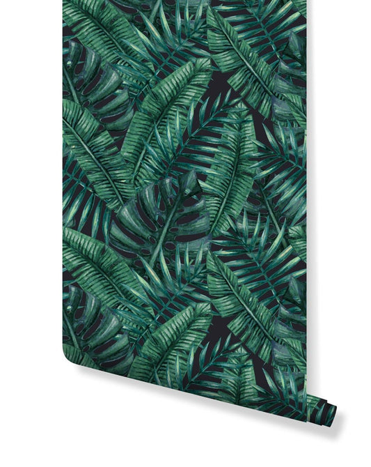 Tropical Jungle Monstera Palm Leaves Removable Wallpaper Tropical Jungle Monstera Palm Leaves Removable Wallpaper 