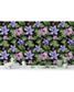 Tropical Monstera Leaves Purple Flowers Wallpaper Tropical Monstera Leaves Purple Flowers Wallpaper 