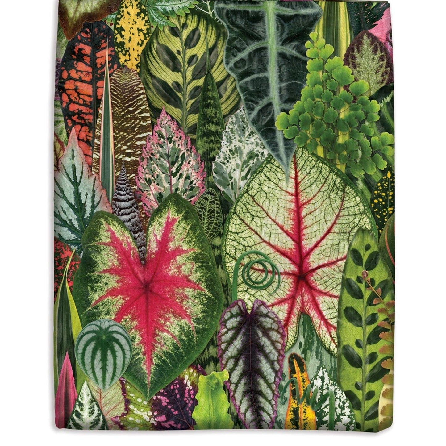 Troy Litten Houseplant Jungle Canvas Tote Bag 
