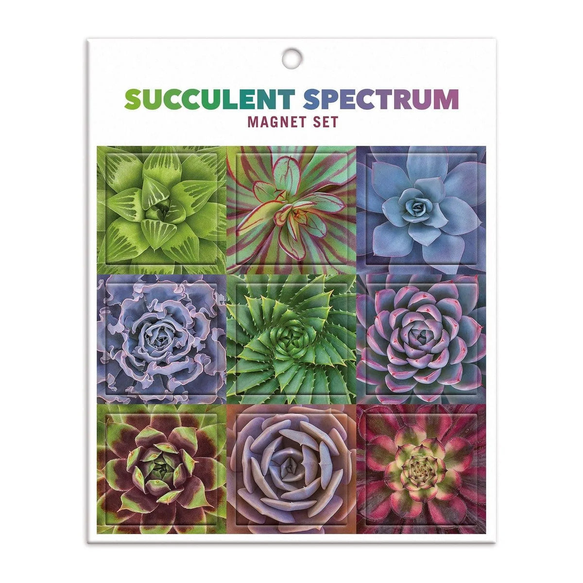 Troy Litten Succulent Spectrum Magnet Set