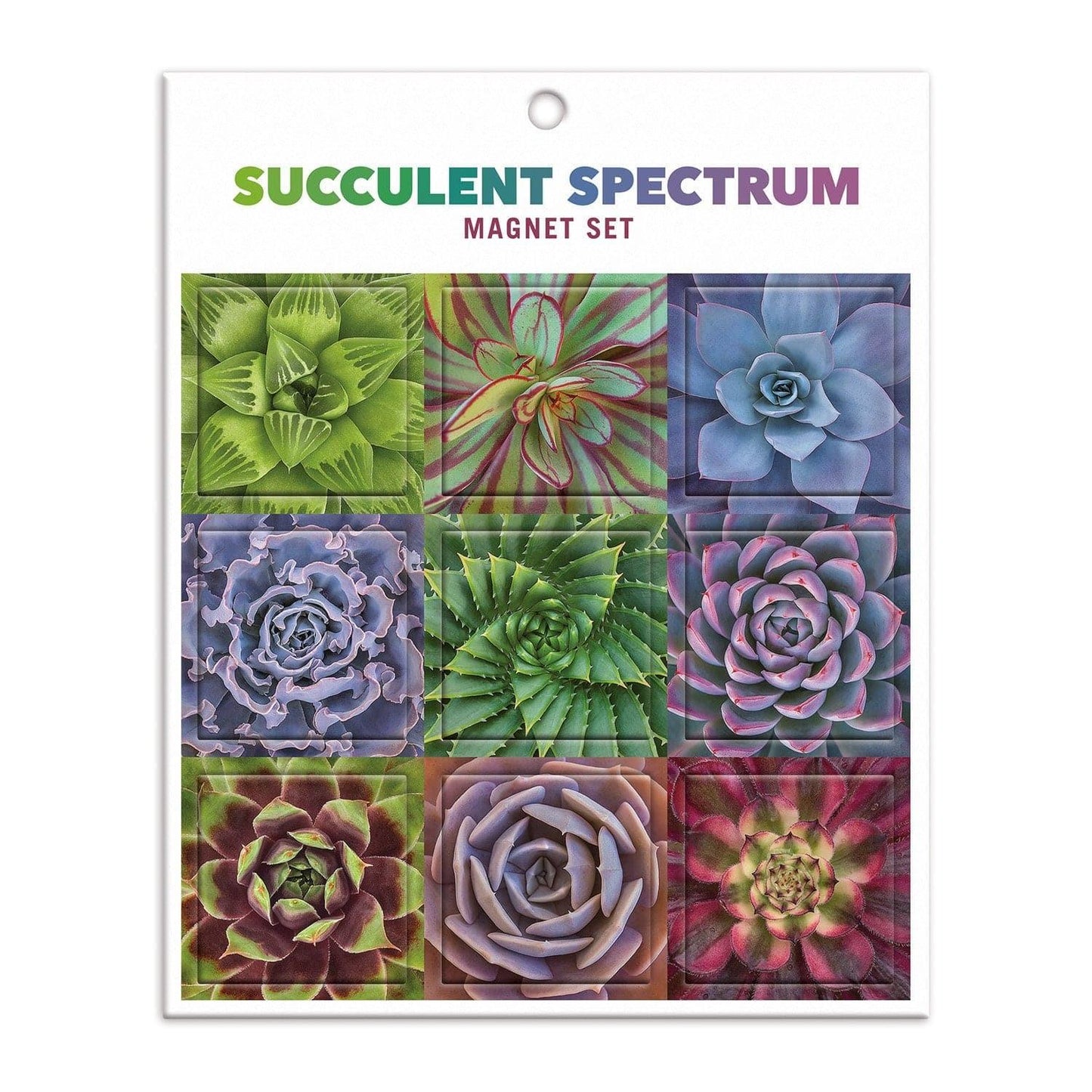 Troy Litten Succulent Spectrum Magnet Set 