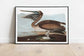 Vintage Bird Art Prints| Bird Poster