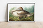 Vintage Bird Art Prints| Bird Poster