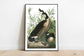 Vintage Bird Art Prints| Bird Poster