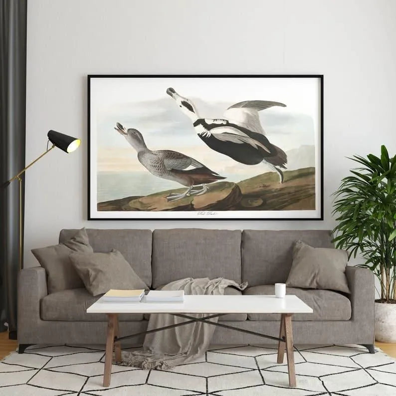 Vintage Bird Art Prints| Bird Poster