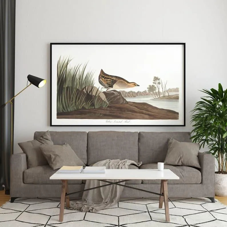 Vintage Bird Art Prints| Bird Poster