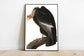 Vintage Bird Art Prints| Bird Poster