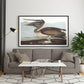 Vintage Bird Art Prints| Bird Poster