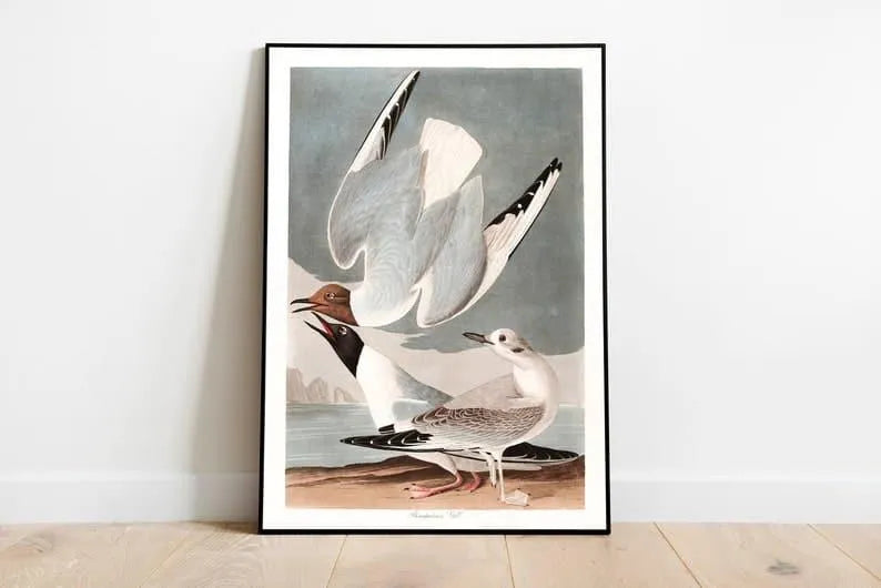 Vintage Bird Art Prints| Bird Poster