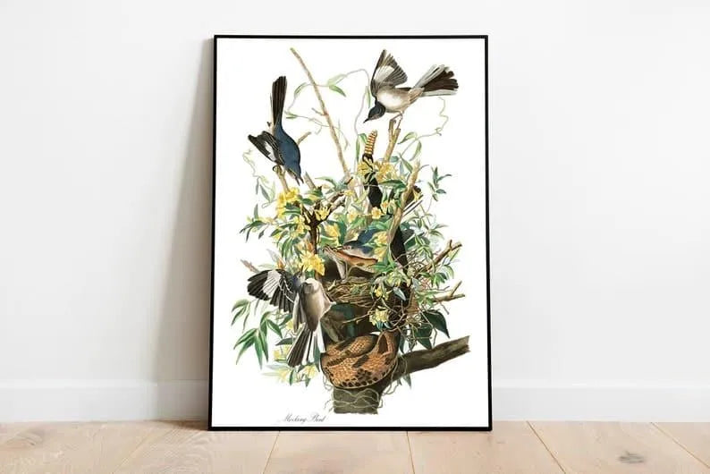 Vintage Bird Art Prints| Bird Poster