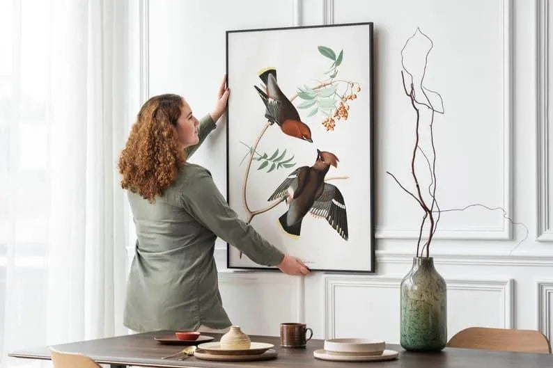 Vintage Bird Art Prints| Bird Poster