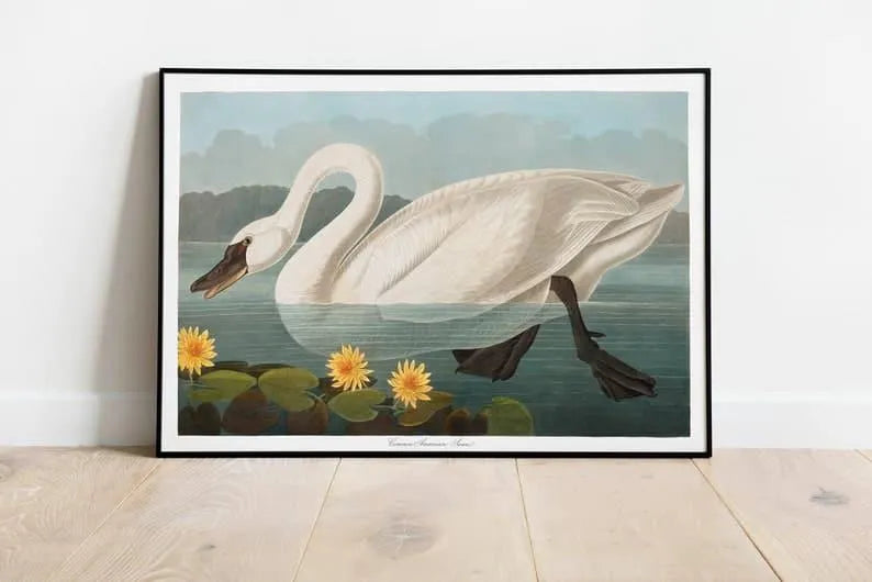 Vintage Bird Art Prints| Bird Poster