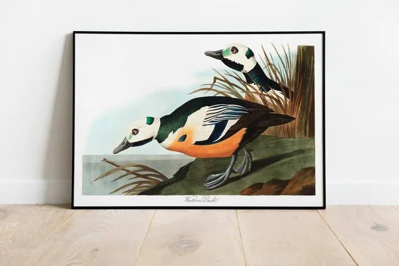 Vintage Bird Art Prints| Bird Poster