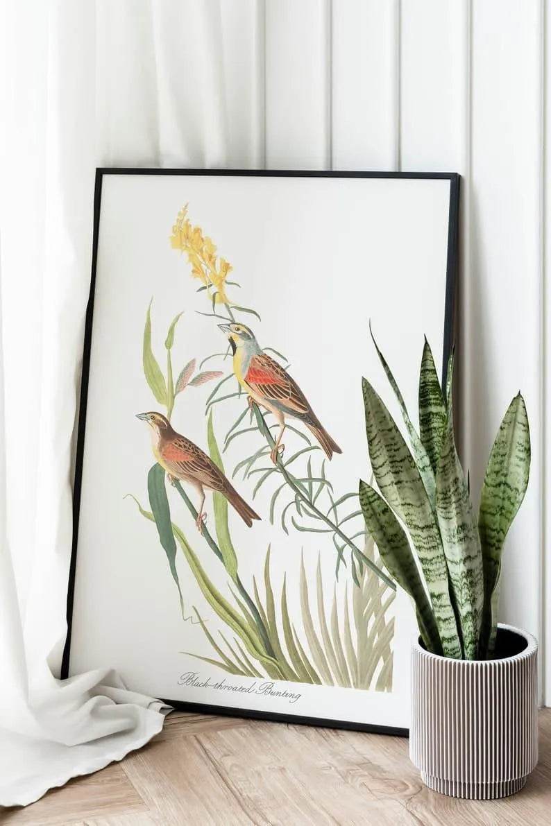 Vintage Bird Art Prints| Bird Poster