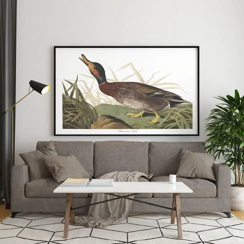 Vintage Bird Art Prints| Bird Poster