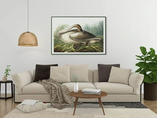 Vintage Bird Art Prints| Bird Poster