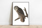 Vintage Bird Art Prints| Bird Poster